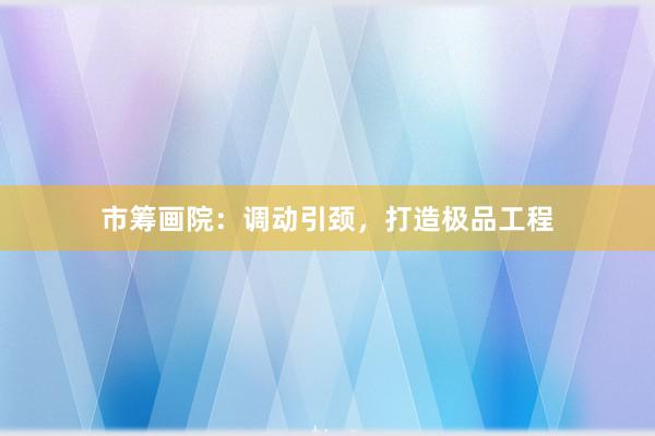 市筹画院：调动引颈，打造极品工程