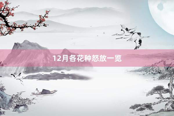 12月各花种怒放一览