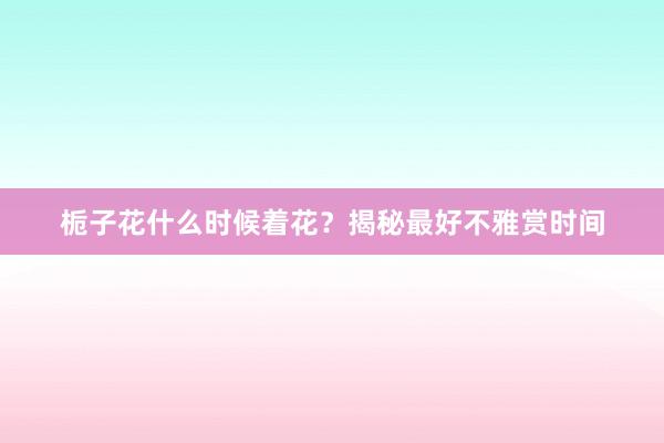 栀子花什么时候着花？揭秘最好不雅赏时间