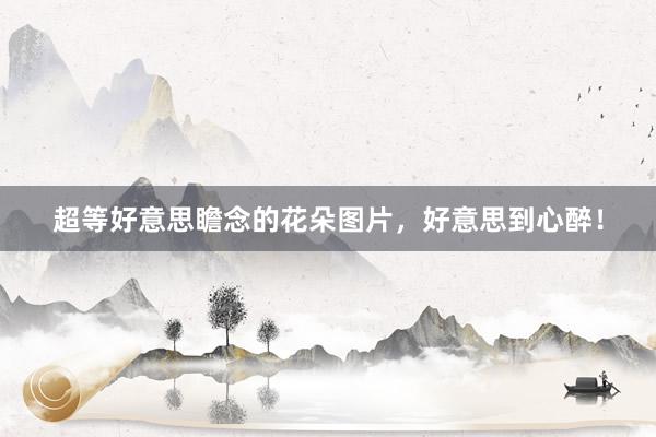 超等好意思瞻念的花朵图片，好意思到心醉！