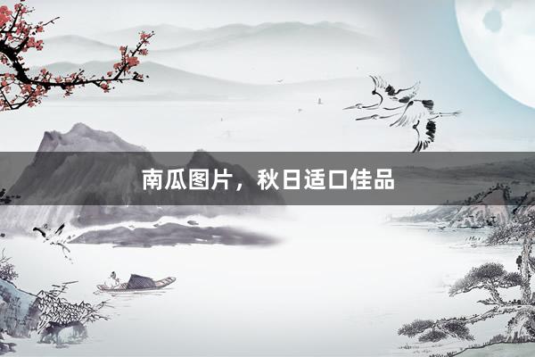南瓜图片，秋日适口佳品