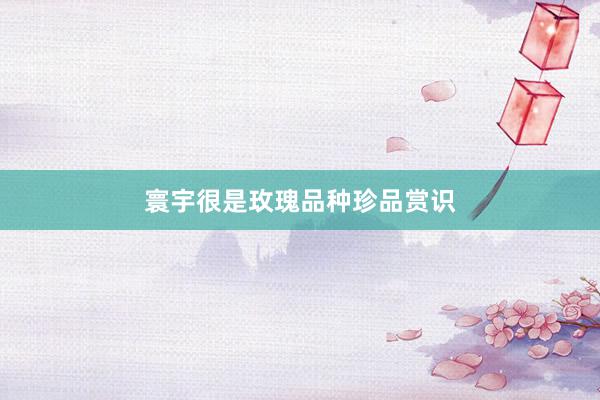 寰宇很是玫瑰品种珍品赏识